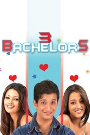 3 Bachelors (2012) Hindi